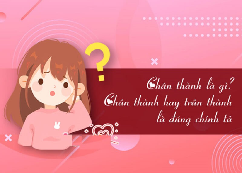 Người chân thành là khi họ không cố thu hút sự chú ý