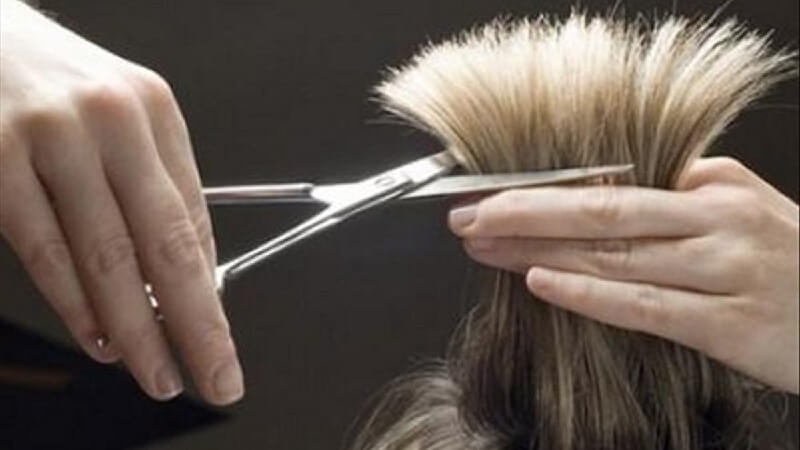 Người mẫu tóc việc làm ngồi im là kiếm được tiền 