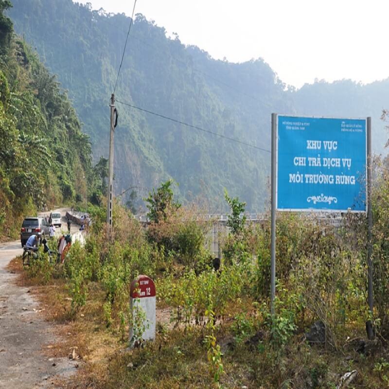 Nguyên tắc chi trả dịch vụ