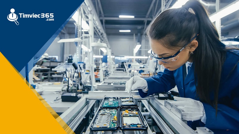 Tham gia cuộc thi và phỏng vấn để trở thành nhân viên chính thức