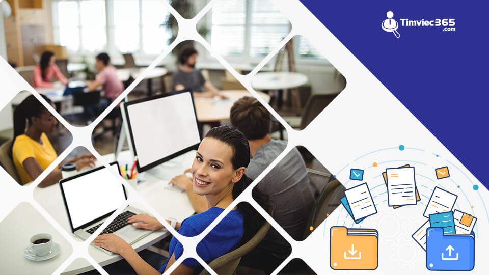 Công việc nhập liệu