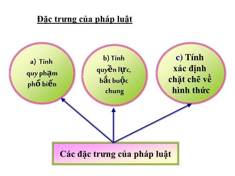 Các đặc điểm của pháp luật