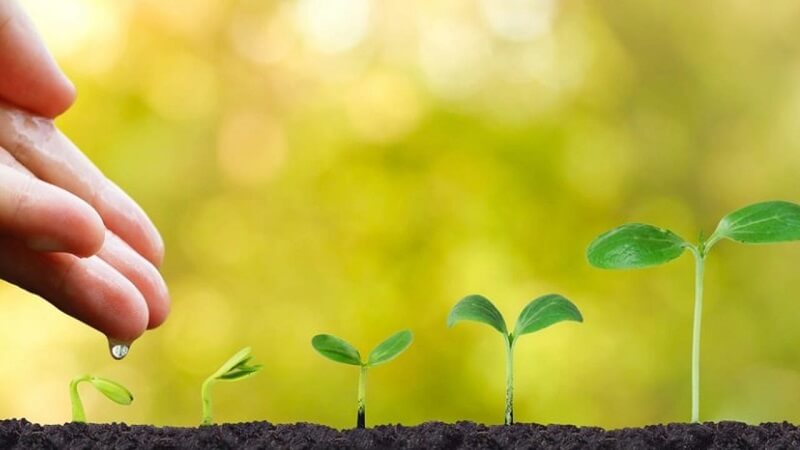 xây dựng kế hoạch phát triển bản thân cụ thể