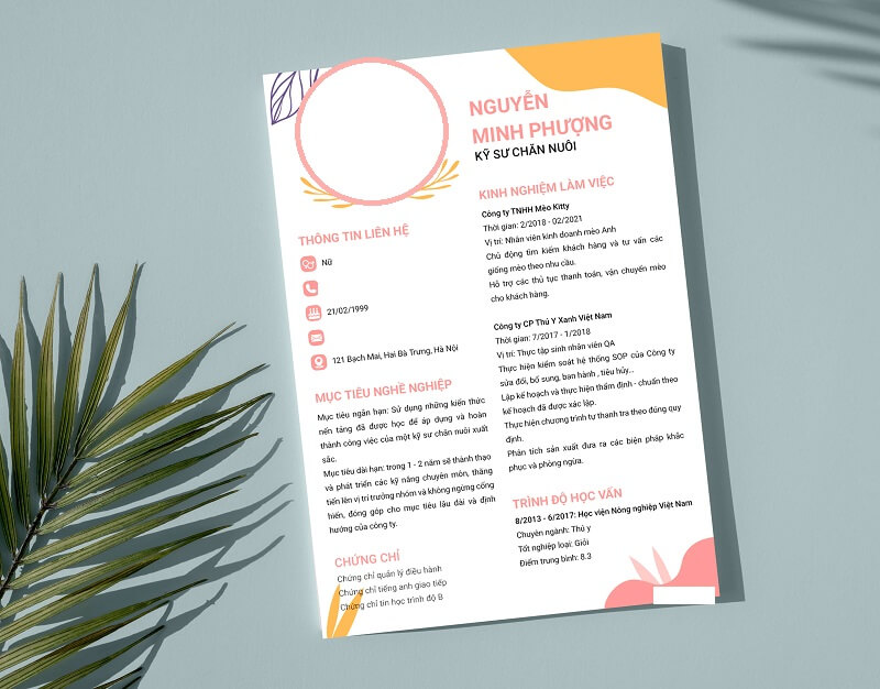 Mẫu CV xin việc thú y phong cách tinh tế