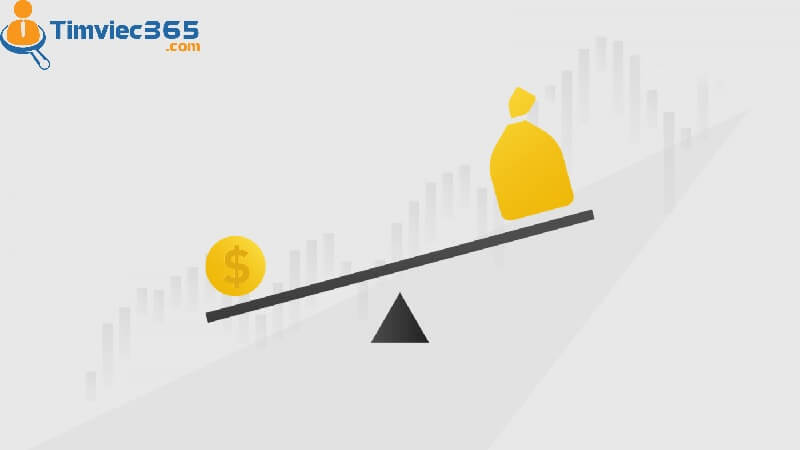 Net profit margin - Thể hiện về Biên lợi nhuận ròng 