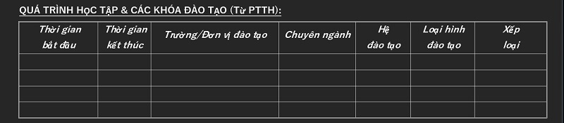 Phần quá trình học tập và các khóa đào tạo trong CV Sacombank