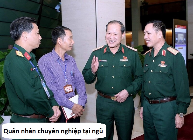 quân nhân chuyên nghiệp tại ngũ