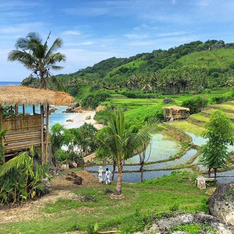 Quyền và nghĩa vụ bên sử dụng