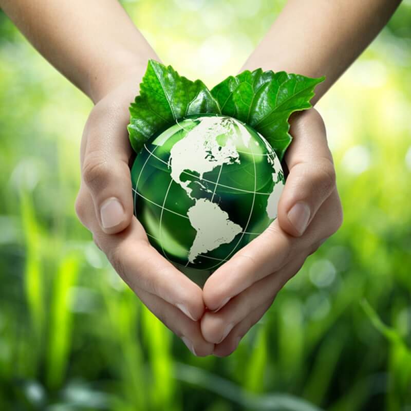 Quyền và nghĩa vụ bên cung ứng