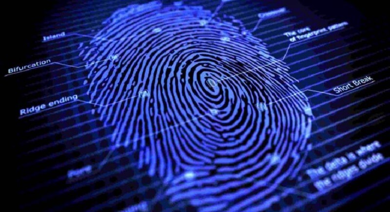 Mức phí cho việc xem sinh trắc vân tay