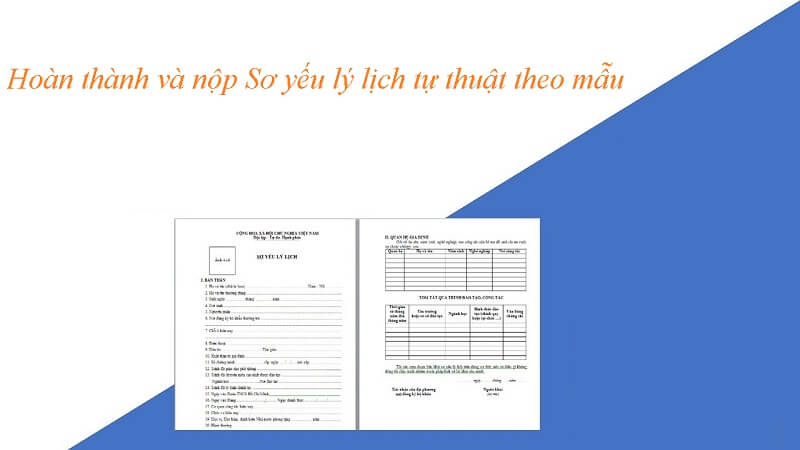 Nộp sơ yếu lý lịch tự thuật theo mẫu