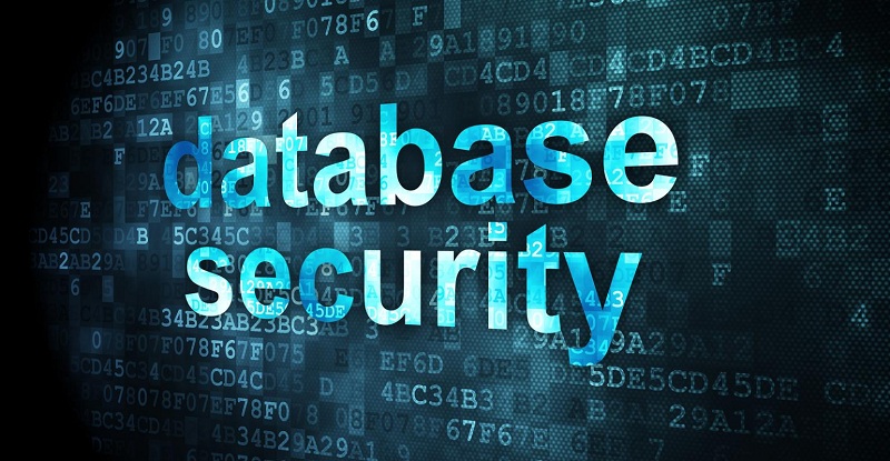 Các phần dễ bị tấn công