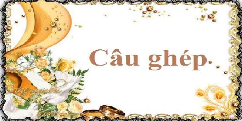 Công dụng của câu ghép trong diễn đạt