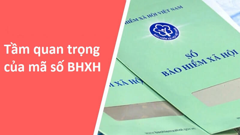 Tầm quan trọng của mã số BHXH