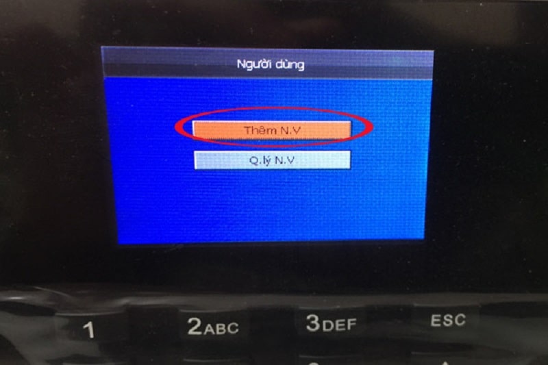 Thiết lập danh mục