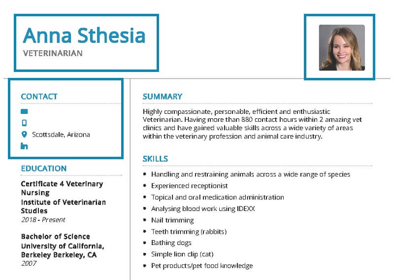 Hướng dẫn viết phần thông tin cá nhân trong CV xin việc ngành thú y