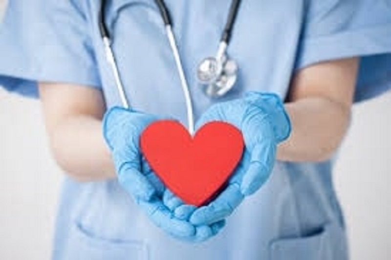 Nội dung chính trong thư xin việc Y Tế - Y Dược 