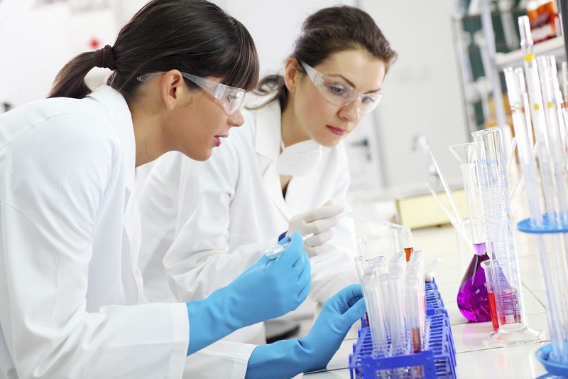 Nội dung chính trong thư xin việc Y Tế - Y Dược 