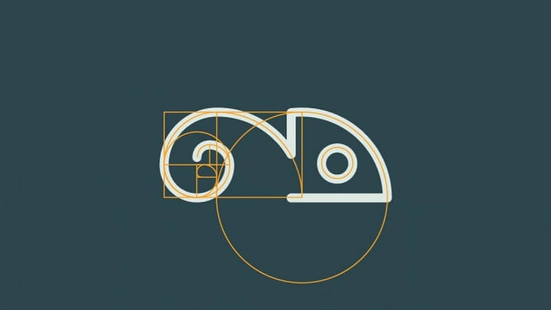 Twitter đã ứng dụng tỉ lệ vàng như thế nào?