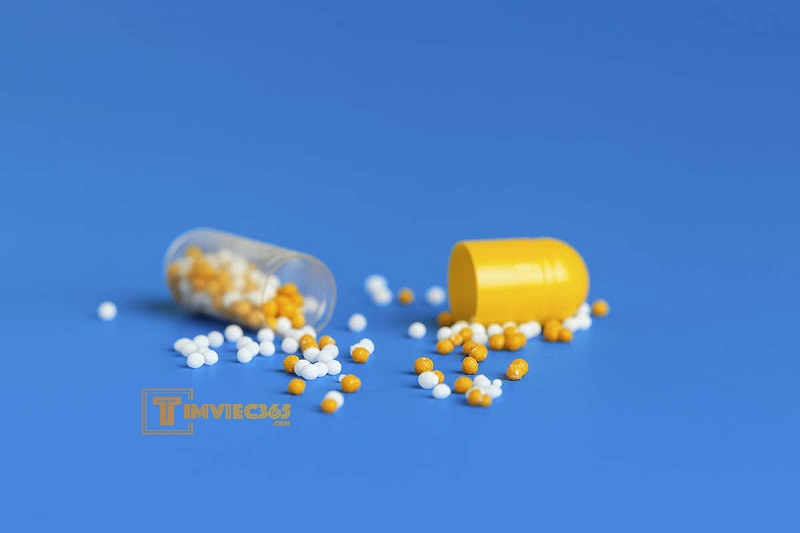 tiền chất là gì?