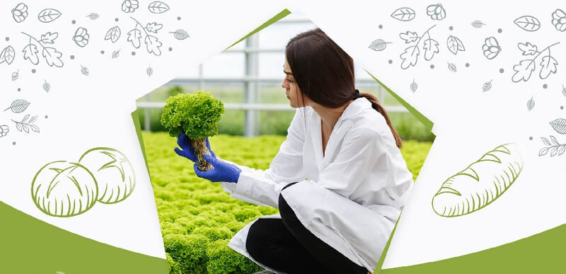 Xem xét về cơ hội việc làm phát triển mạnh mẽ tại Lĩnh Nam Hà Nội