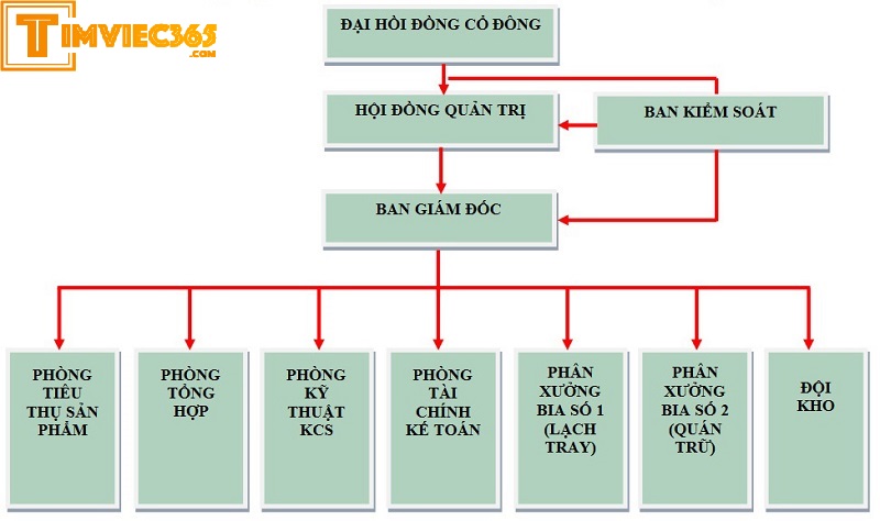tổ chức tín dụng phi ngân hàng