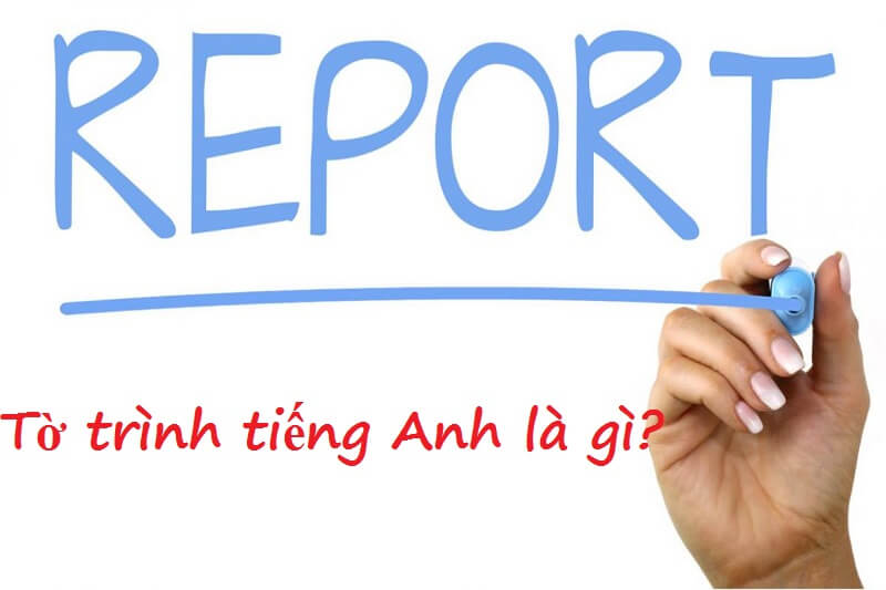 Tờ trình tiếng Anh là gì?