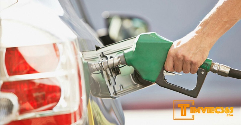 Phân biệt điểm khác nhau giữa xăng RON 95 và xăng sinh học E5