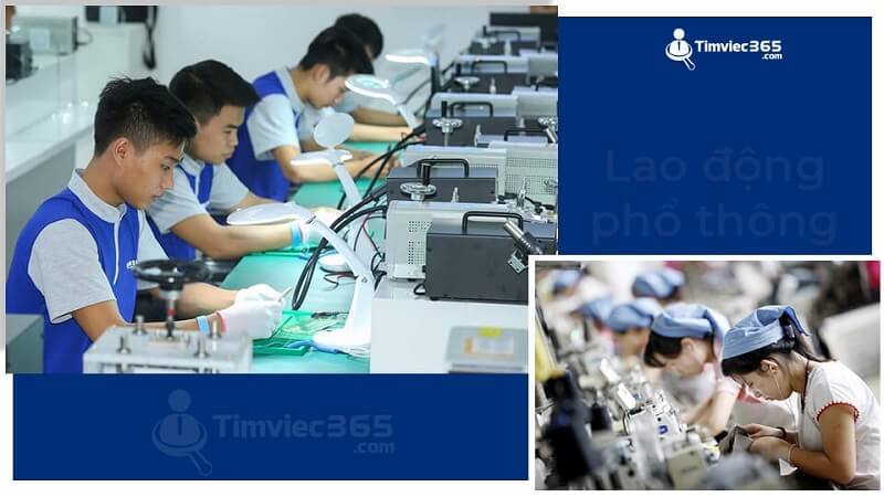 Xuất khẩu lao động đa dạng ngành nghề