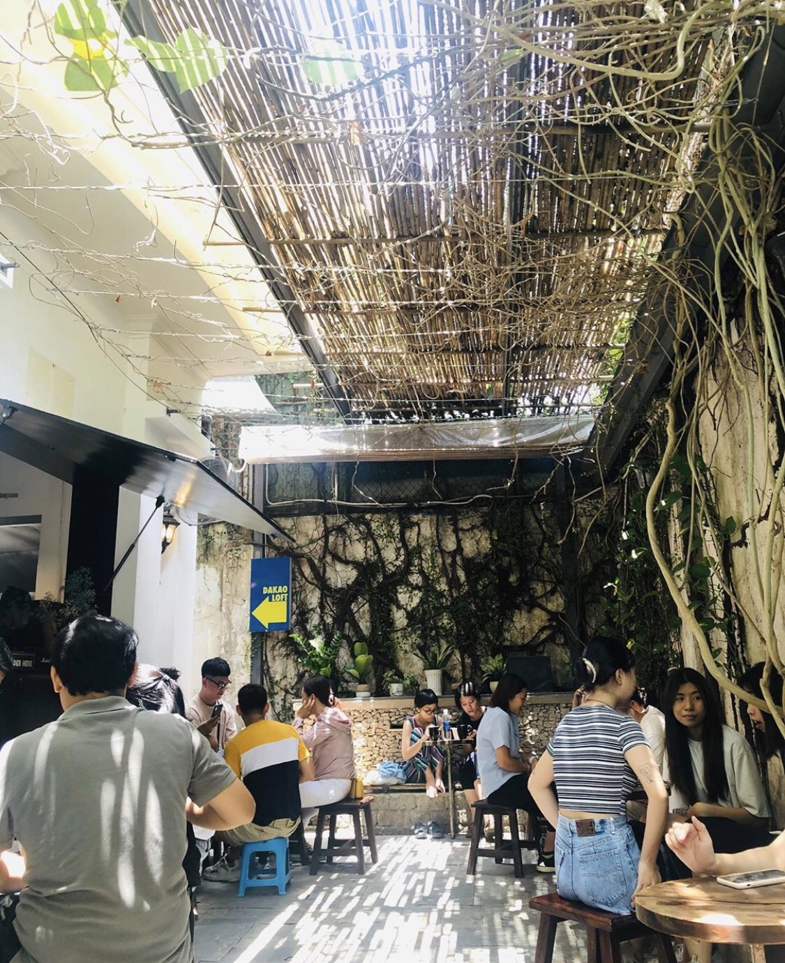 Hình ảnh 1 - Công Ty TNHH Cafe Thái Yên