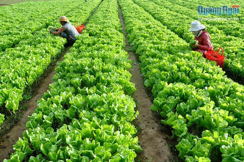 Hình ảnh 1 - Huy Hoàng 9999