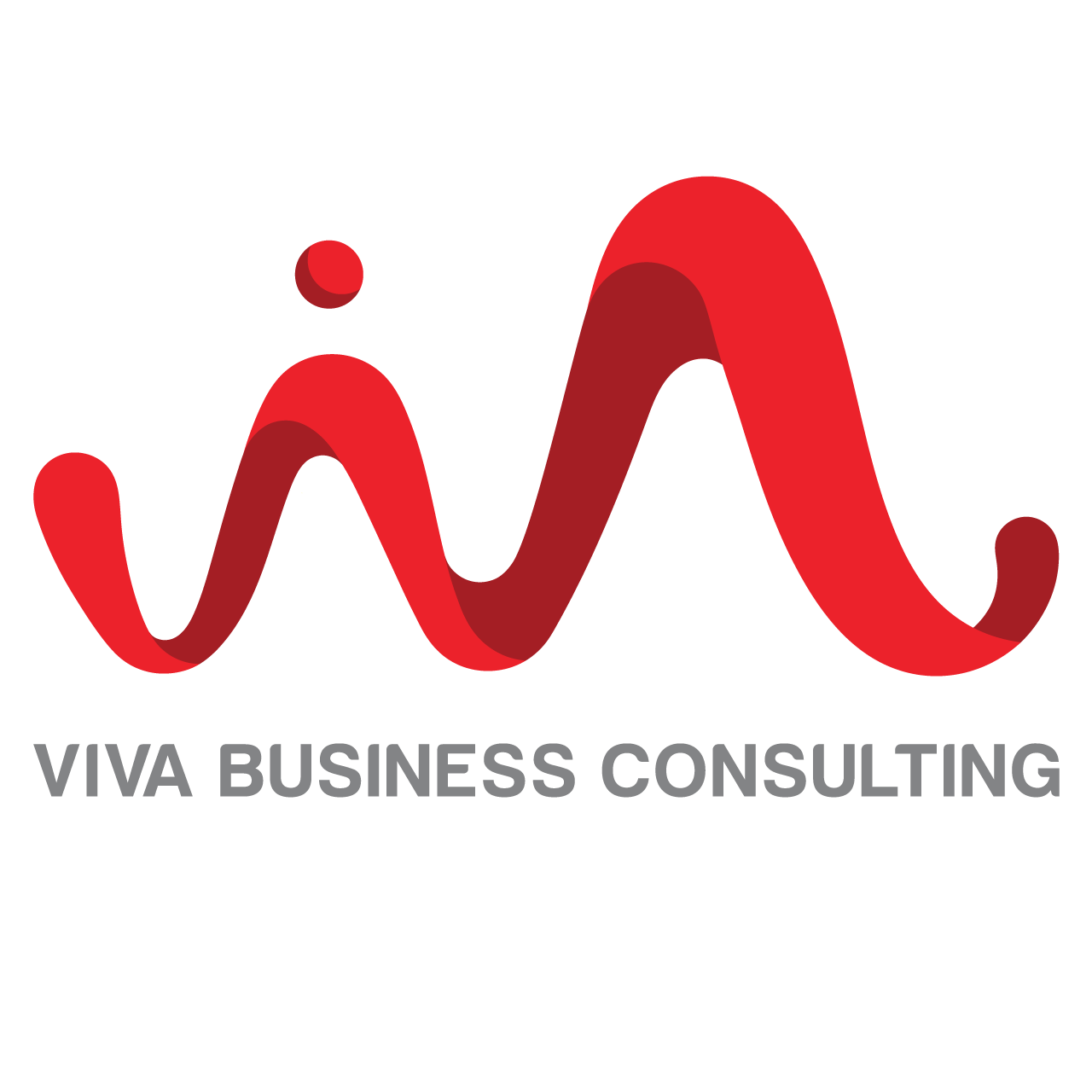 Hình ảnh 1 - Viva Business Consulting