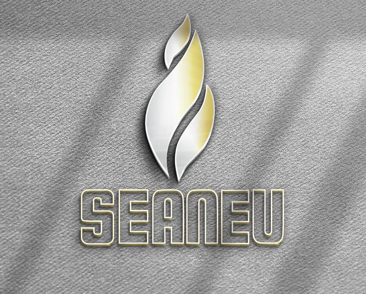 Hình ảnh 1 - Công Ty Cổ Phần Quốc Tế Seaneu