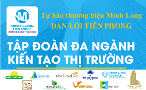 Hình ảnh 1 - Công Ty Cổ Phần Tập Đoàn Đầu Tư Minh Long Holding