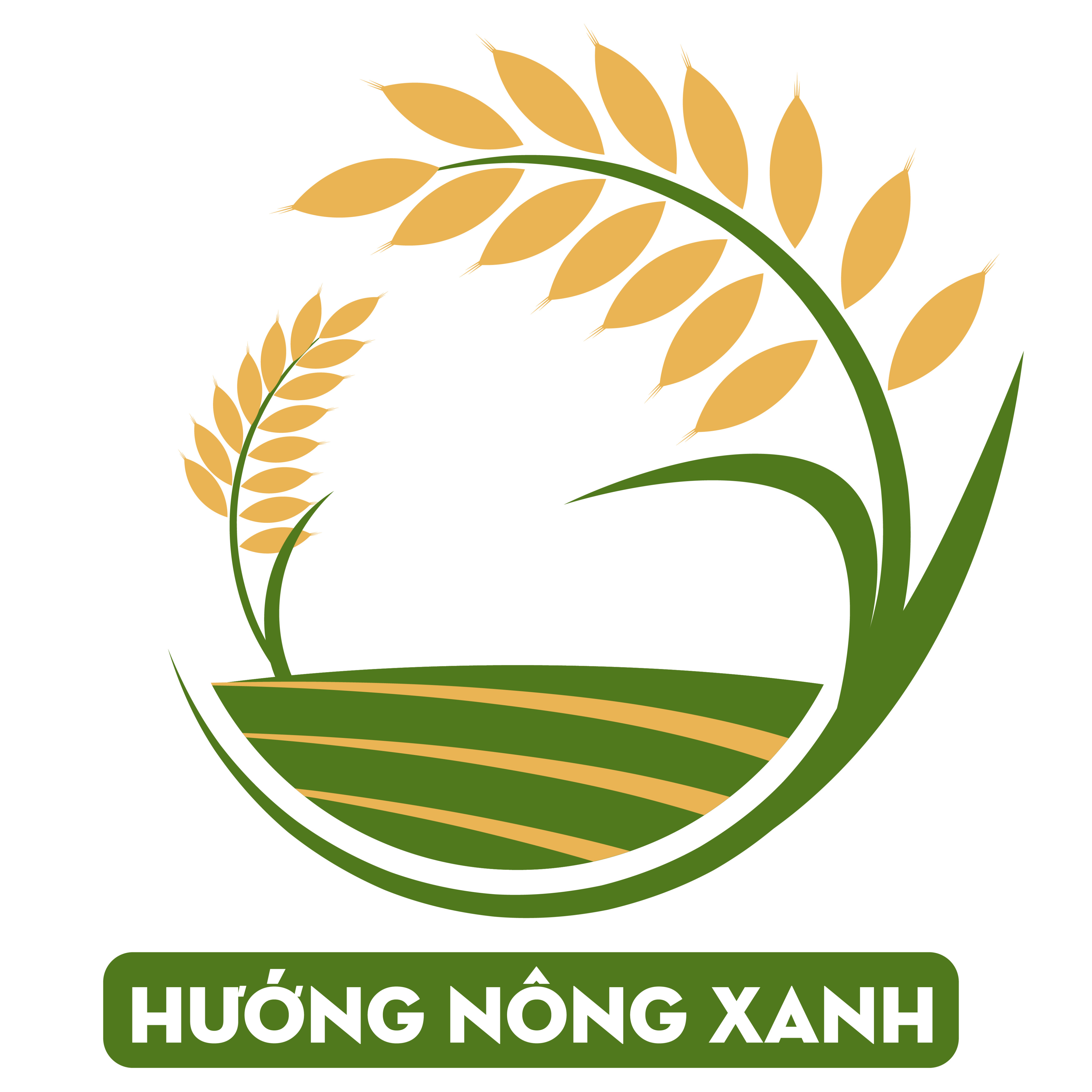 Hình ảnh 1 - Công Ty TNHH Bvtv Hướng Nông Xanh
