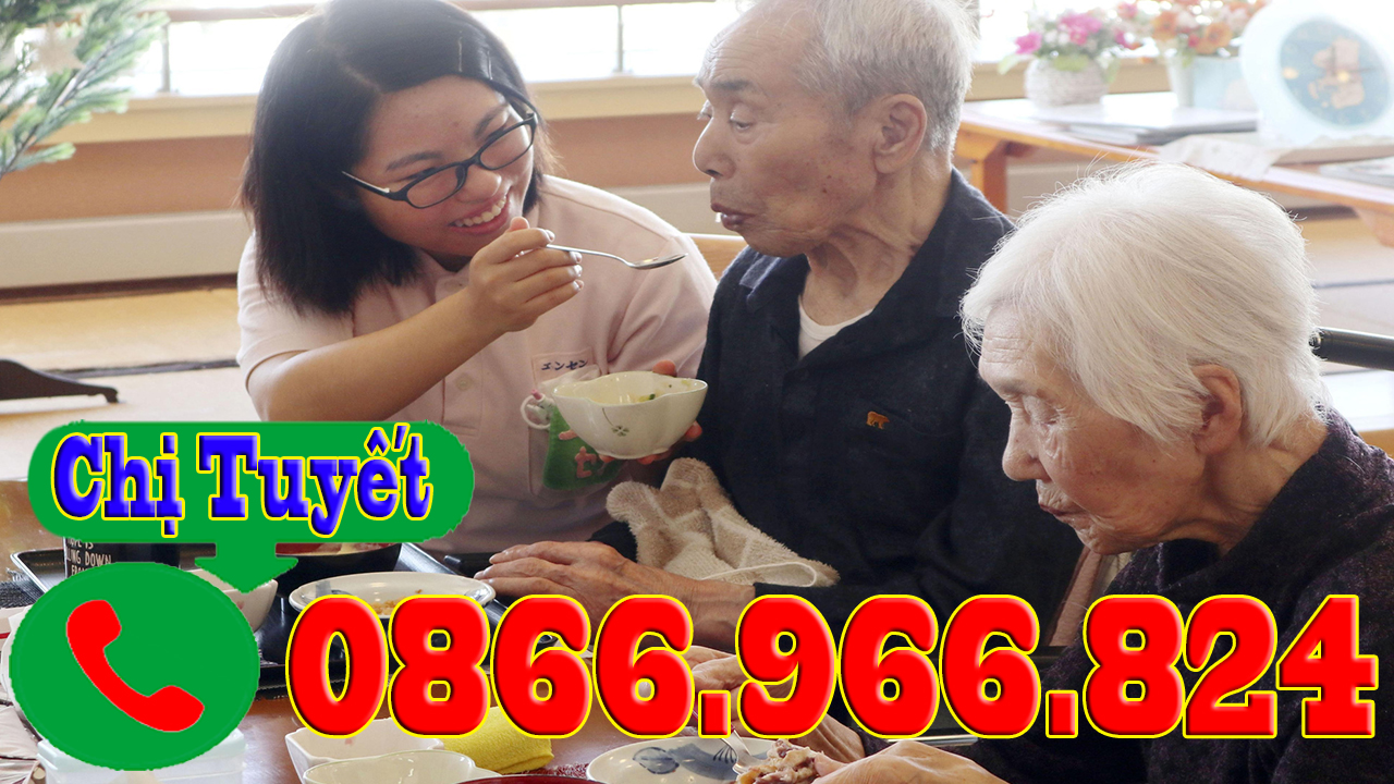 Hình ảnh 1 - Việc Làm Chăm Sóc Người Già Em Bé Giúp Việc Nhà