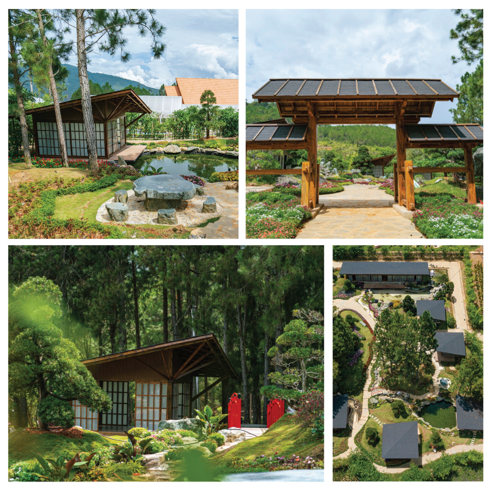 Hình ảnh 1 - Công Ty Cổ Phần Du Lịch L.t.c