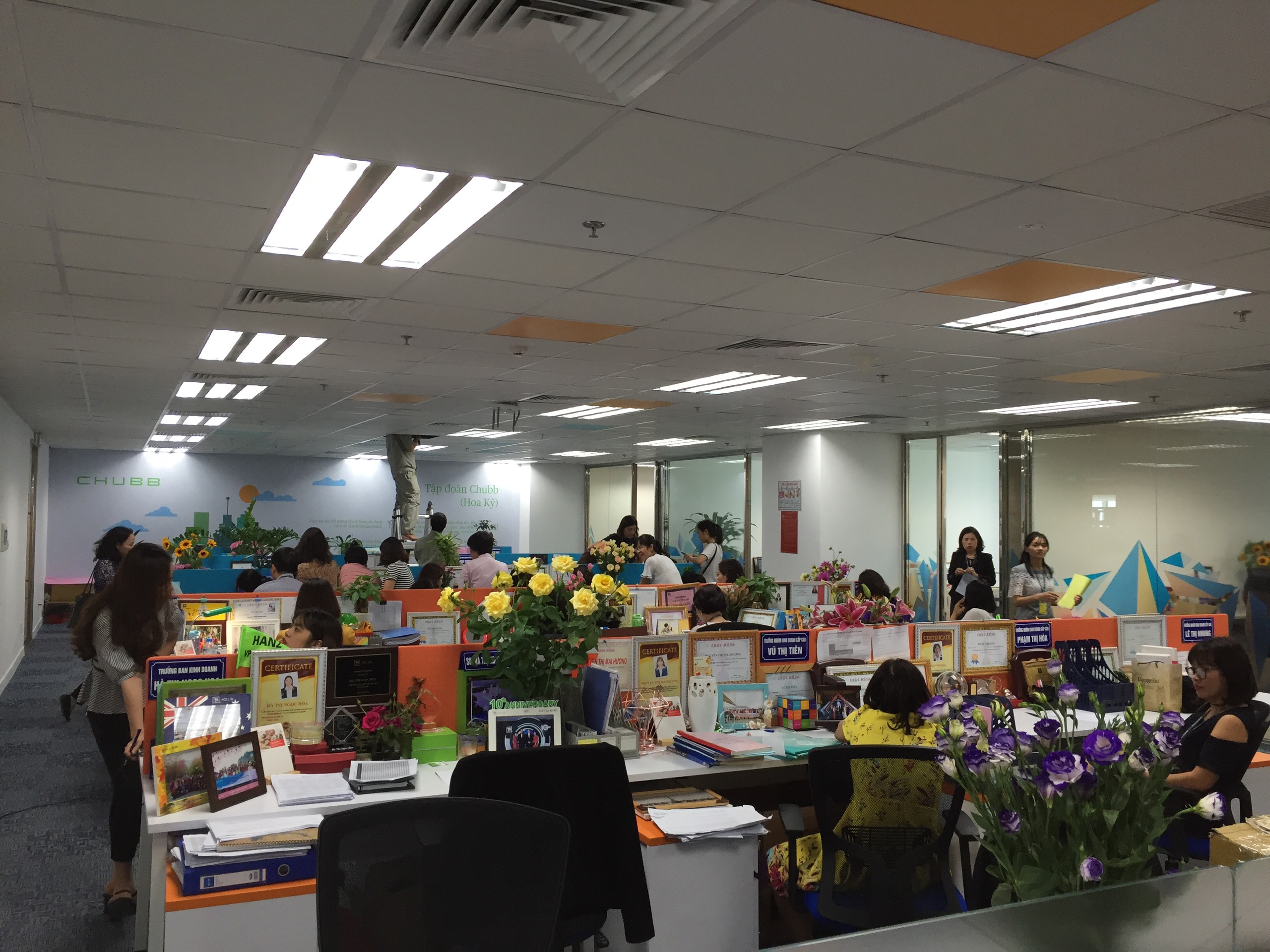 Hình ảnh 1 - Công Ty Cnhh Bảo Hiểm Nhân Thọ Chubblife Việt Nam