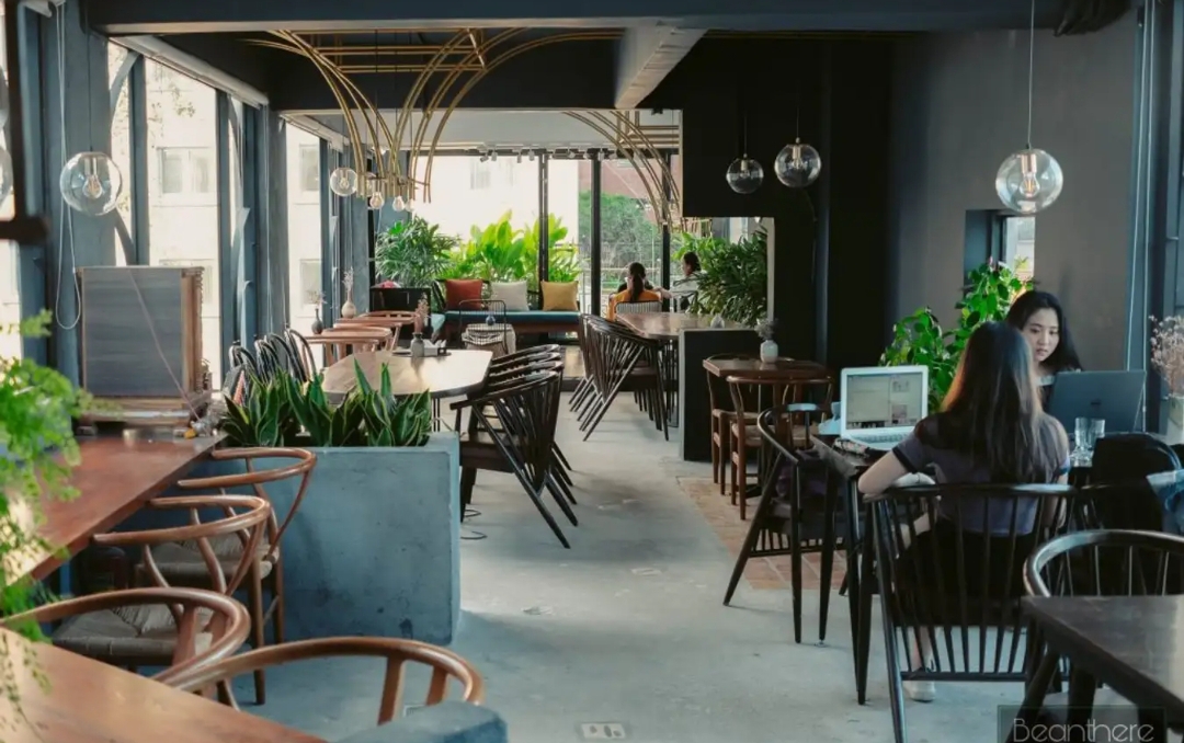 Hình ảnh 1 - Tcoffee