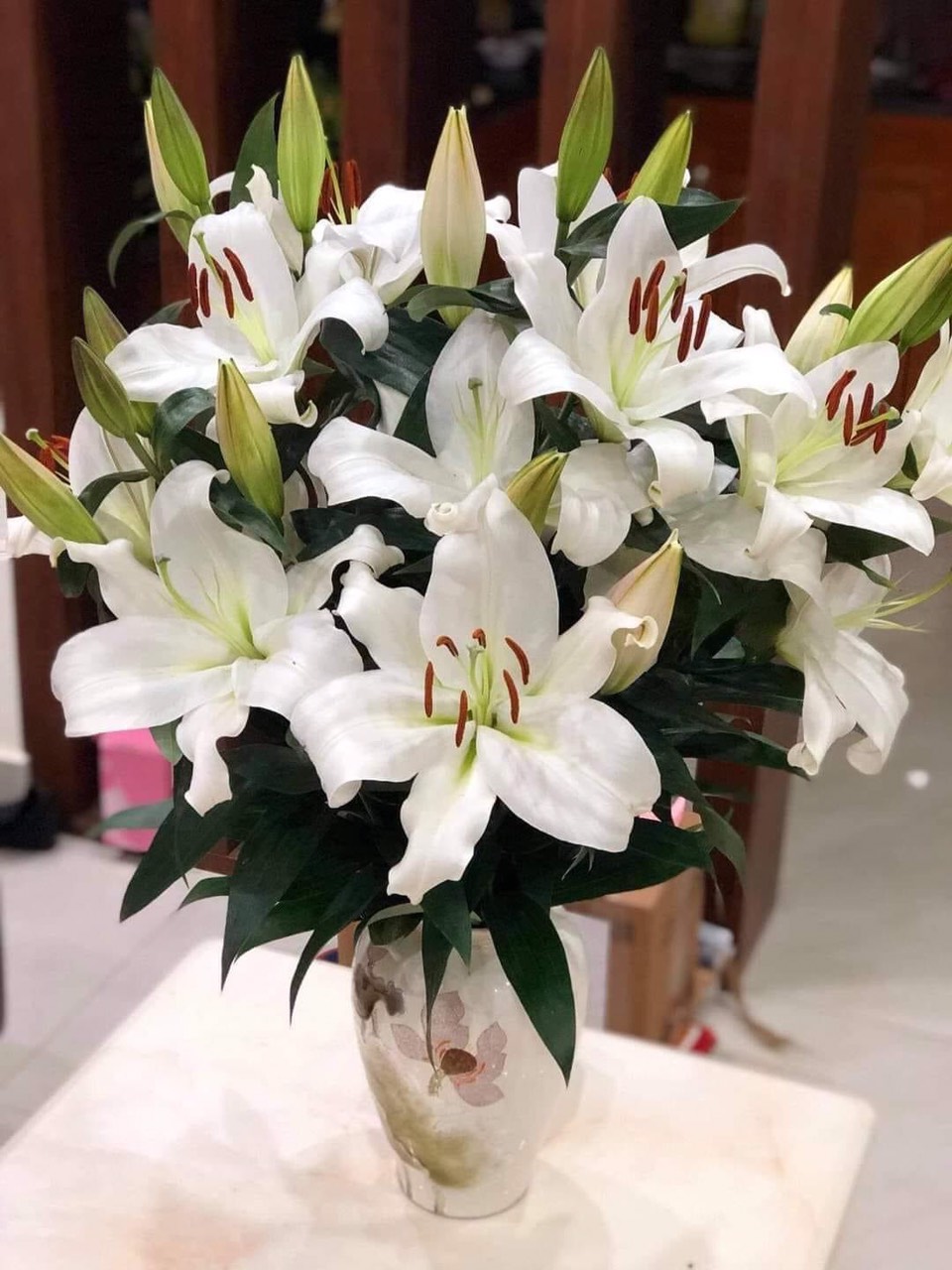 Hình ảnh 1 - Chuột Chũi