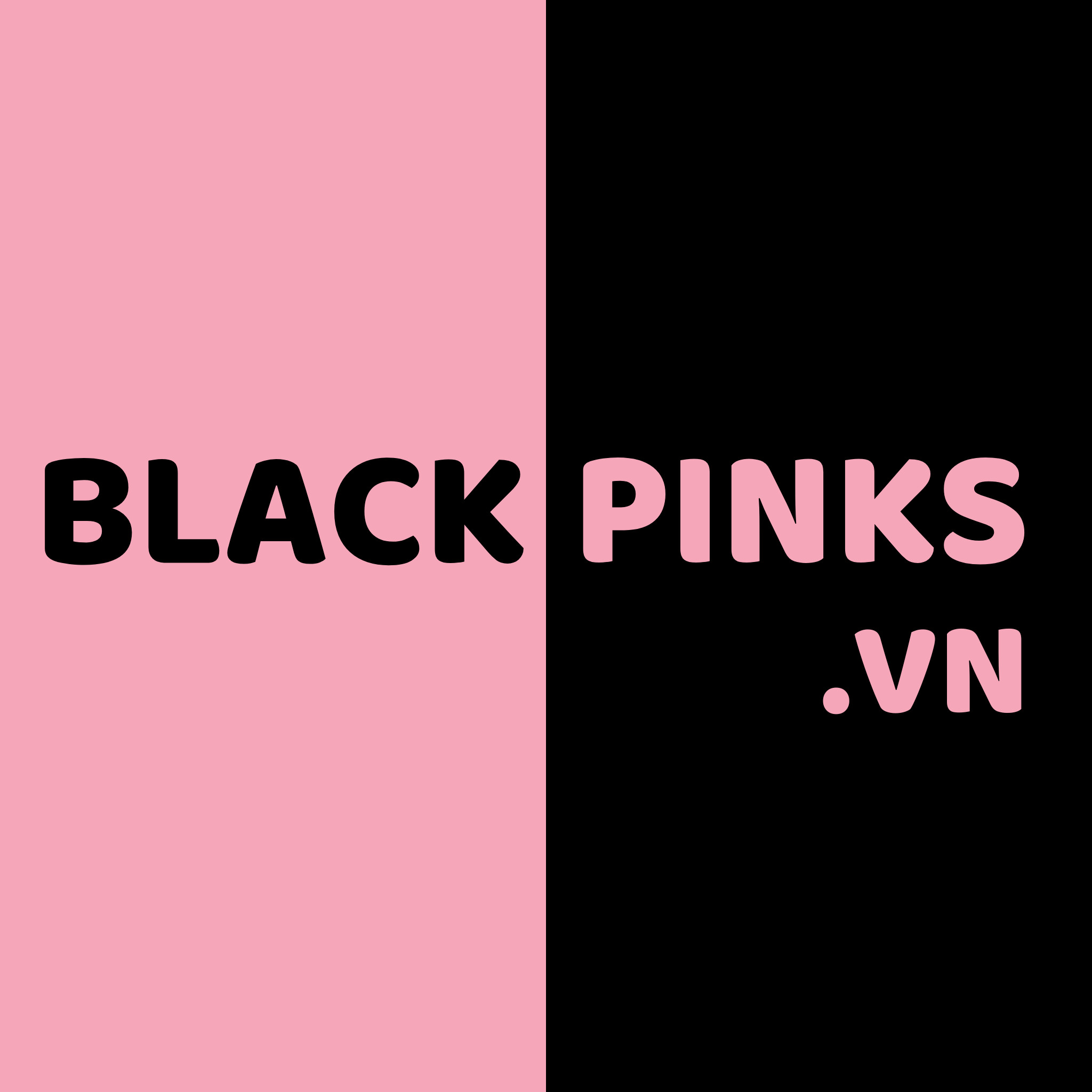 Hình ảnh 1 - Công Ty Cổ Phần Blackpinks.vn