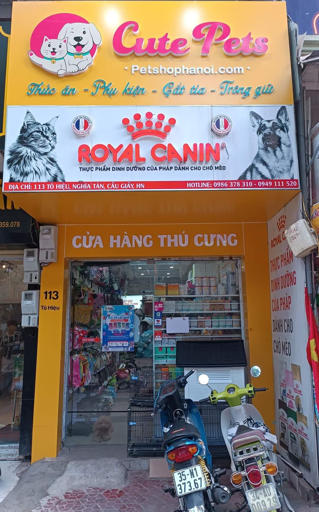 Hình ảnh 1 - Công Ty TNHH Cutepets Việt Nam