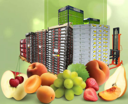 Hình ảnh 1 - Công Ty TNHH Xuất Nhập Khẩu Thương Mại An Minh