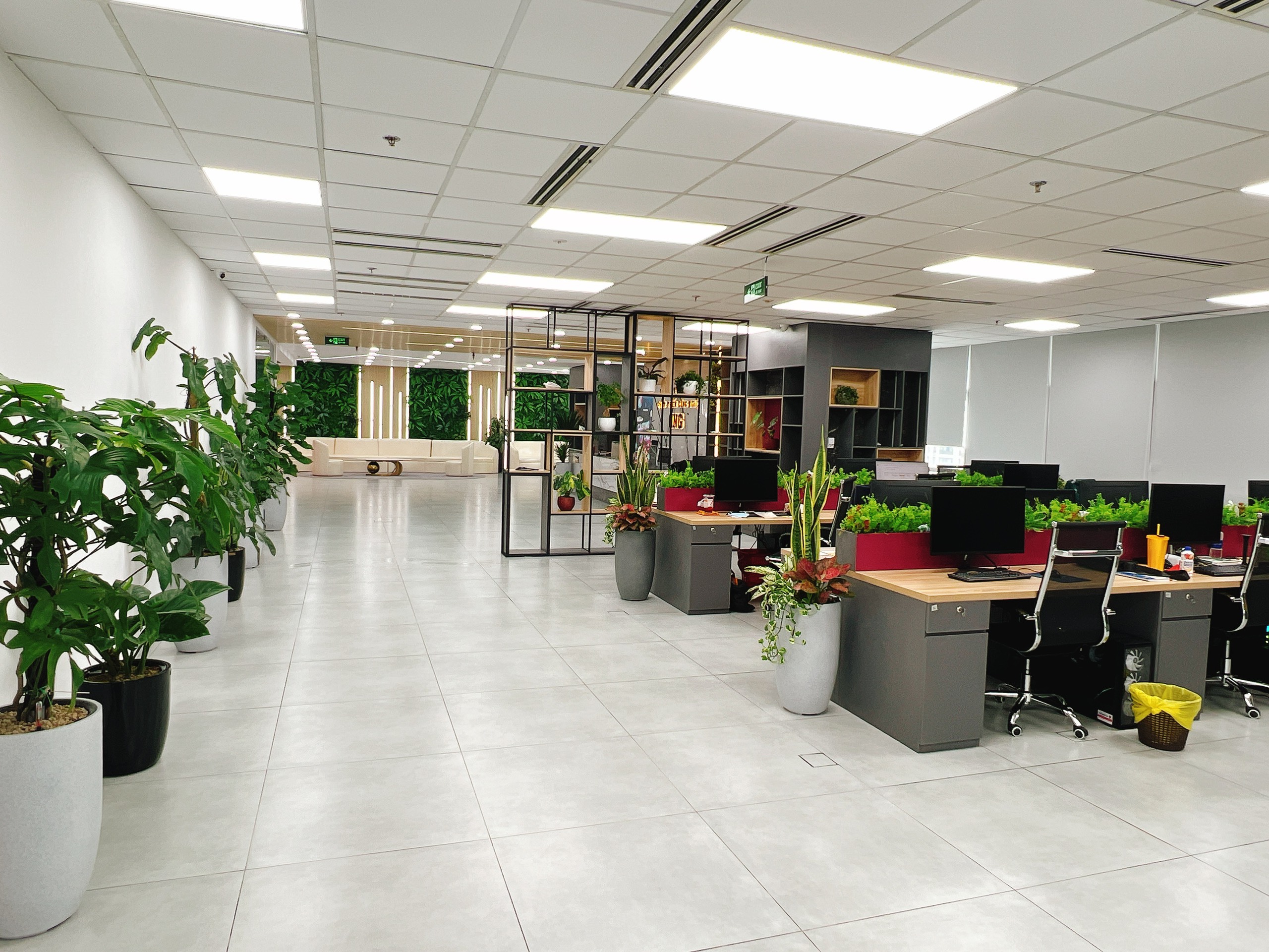 Hình ảnh 1 - Công Ty TNHH Phát Triển Công Nghệ Ong