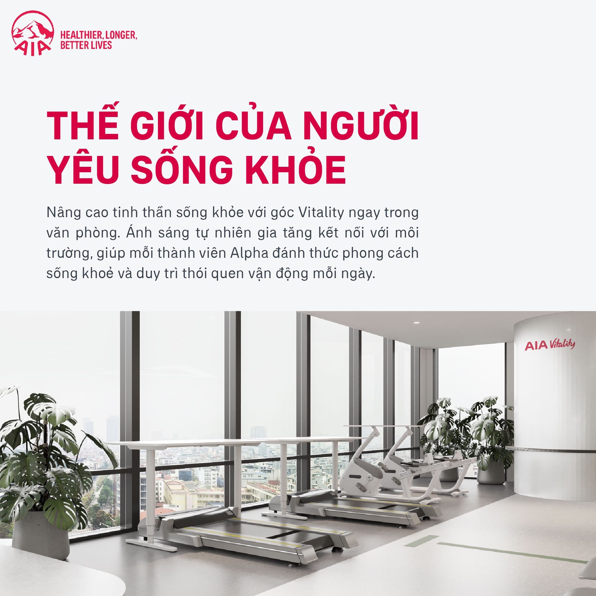 Hình ảnh 1 - Aia Việt Nam Kênh Alpha