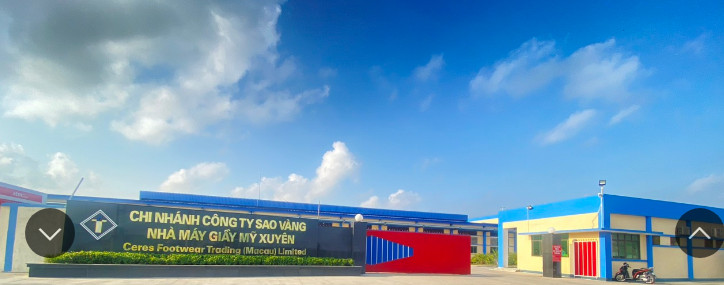 Hình ảnh 1 - Công Ty Sao Vàng Thái Thụy