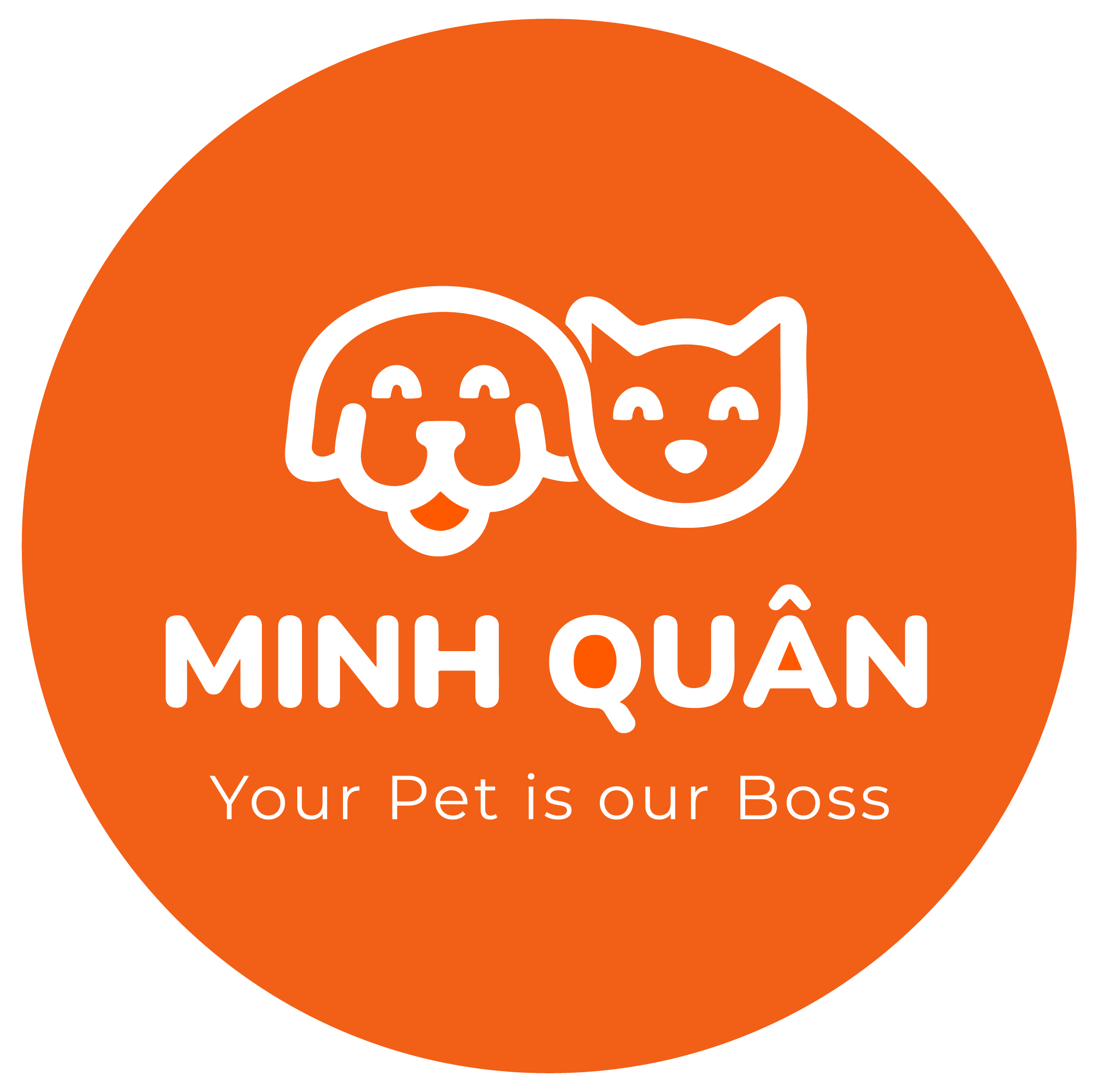 Hình ảnh 1 - Minh Quân