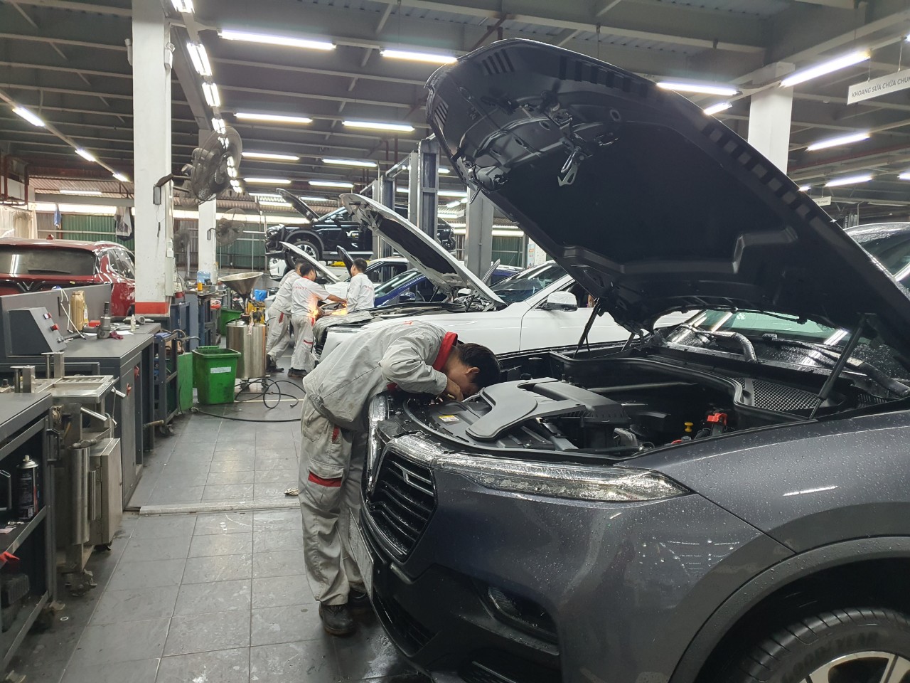 Hình ảnh 1 - Cty TNHH Dv Quốc Sinh