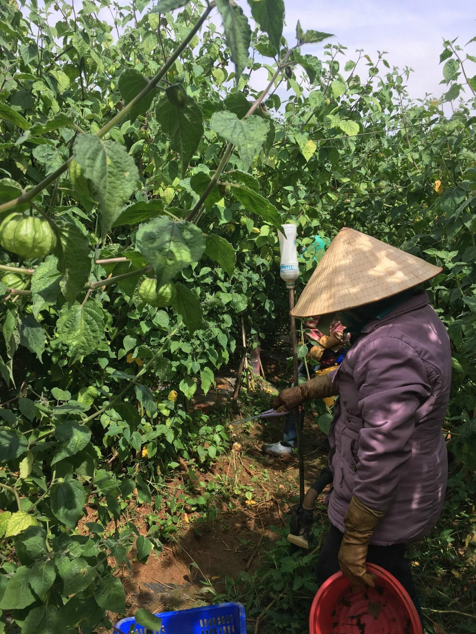 Hình ảnh 1 - Công Ty Cổ Phần Đầu Tư Stp