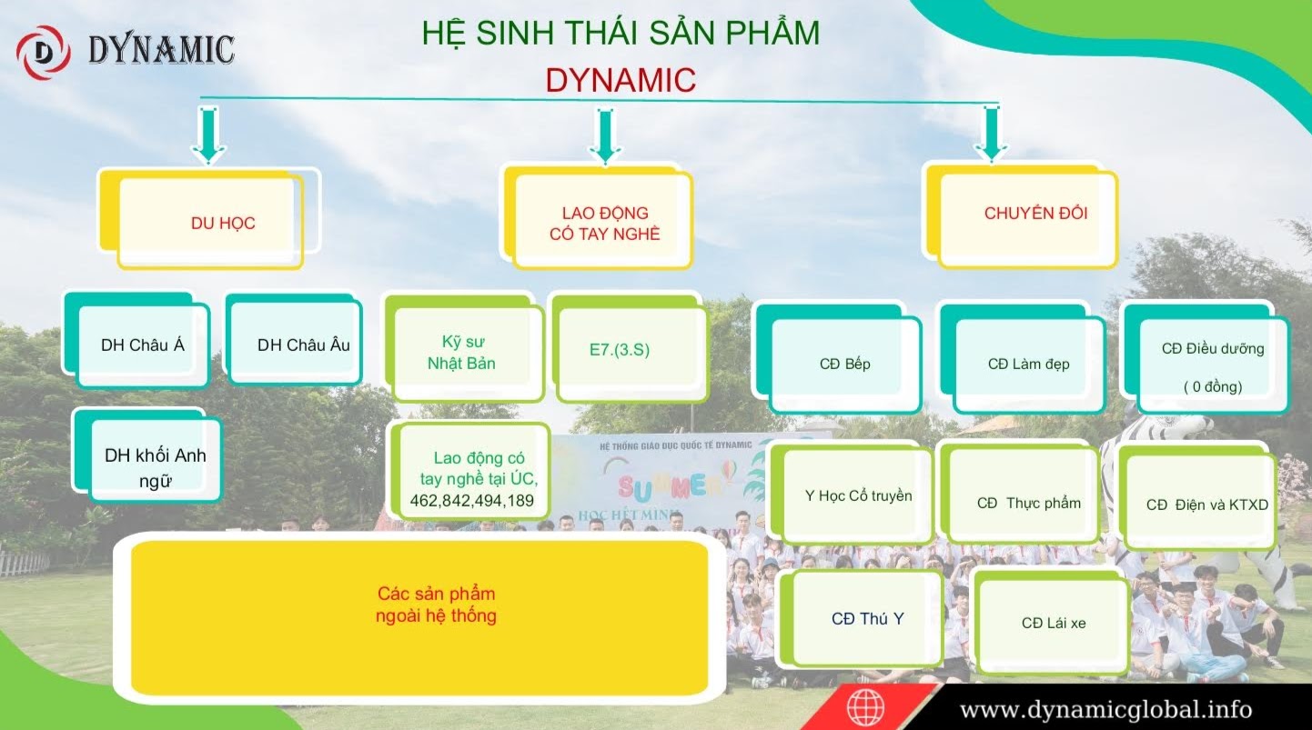 Hình ảnh 1 - Công Ty TNHH Hệ Thống Dynamic Việt Nam